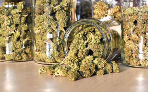 Dry and trimmed cannabis buds, stored in a glass jars. Medical cannabis