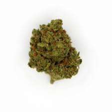 Afghani cannabis strain premium flower