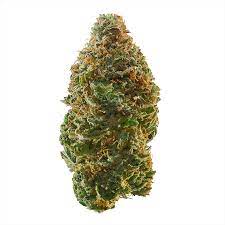Apple jack cannabis strain premium flower
