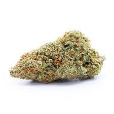 Blissful wizard cannabis strain premium flower