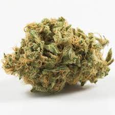 Blue Dragon Marijuana Strain