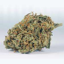 Buy BF Blue Cheese Weed Strain