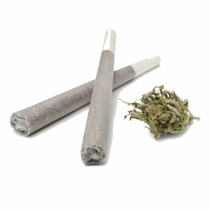 Buy Gelato Organic Pre-Roll