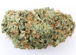 Buzz Light Gear Cannabis Strain