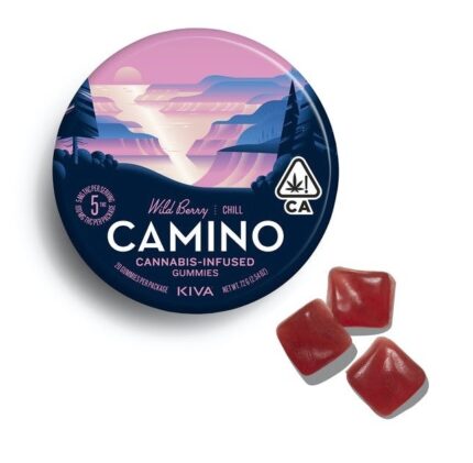 Camino Wild Berry Chill Gummies - 100mg