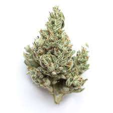 Cataract Kush Indica Weed Strain