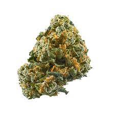 Cheese cannabis strain premium flower