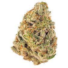 Cheetah piss cannabis strain premium flower
