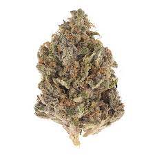 Cherry gorilla cannabis strain premium flower