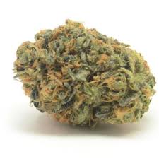 Cookie Dough Weed Strain