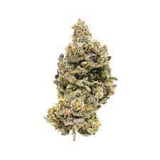 Cookie glue cannabis strain premium flower