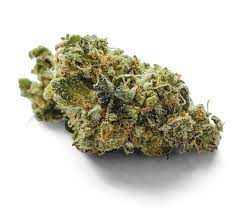 Cookie Monster Weed Strain