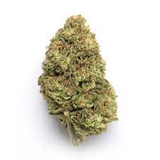 Destroyer cannabis strain premium flower