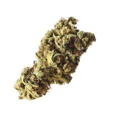 Dragon's breath cannabis strain premium flower