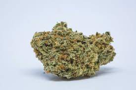 Durban Punch Weed Strain