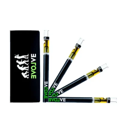 Evolve Disposable Vape Pen 1 Gram