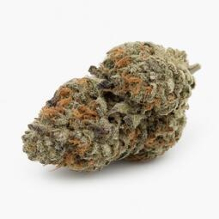 God Bud cannabis buds premium flower