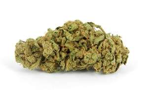 Hog Medica Marijuana Strain