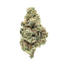 Jamaican cannabis strain premium flower
