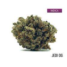 Jedi Kush Marijuana Strain