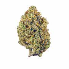 Jenny kush cannabis strain premium flower