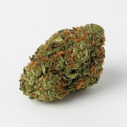 King's Bread cannabis buds premium flower