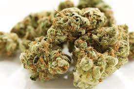 King's Bread Weed Strain Online