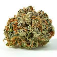 Larry OG cannabis strain premium flower