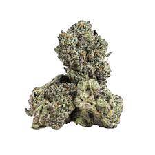 Mag landrace cannabis strain premium flower