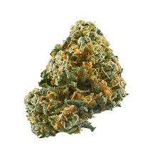 Moroccan hash cannabis concentrate