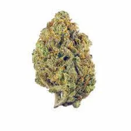 Nepalese premium cannabis flower with dark green leaves and resinous buds