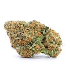 Orange sherbet cannabis strain premium flower