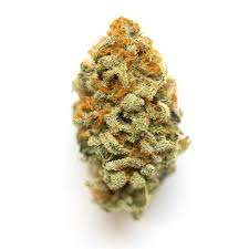 Panama red cannabis strain premium flower
