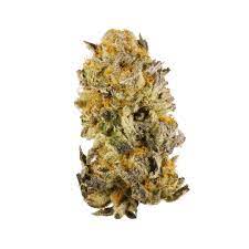 Platinum girl scout cookies cannabis strain premium flower