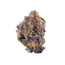 Purple kush cannabis strain premium flower