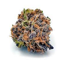 Runtz Cannabis Strain