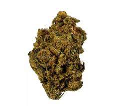 Samoa Marijuana Strain EU