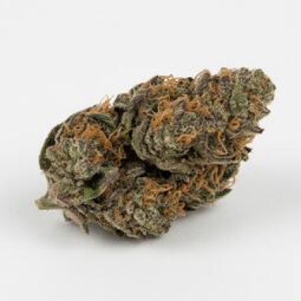 Sheila cannabis buds premium flower
