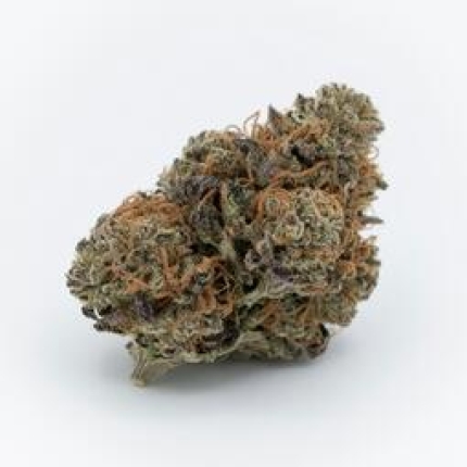 Shiva Skunk cannabis buds premium flower