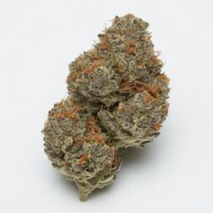 Snoop's Dream cannabis buds premium flower