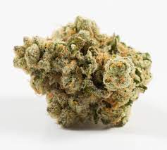 Sour Banana Sherbet Marijuana Strain