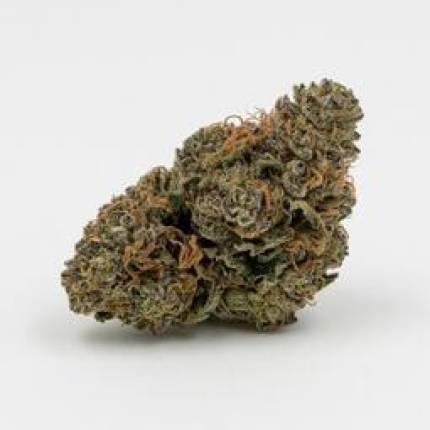 Sour OG cannabis buds premium flower