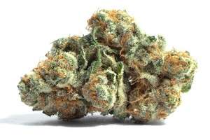 South African Kwazulu Marijuana Strain