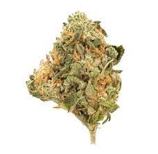 Southern bell cannabis strain premium flower