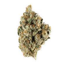 Space needle cannabis strain premium flower