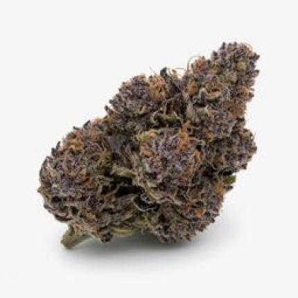 Super Grand Daddy Purple cannabis buds premium flower