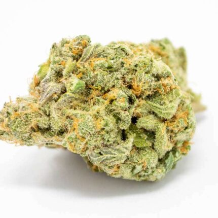 Super jack sativa cannabis strain premium flower