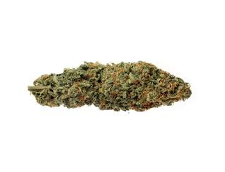 Thai Stick Sativa Marijuana Strain