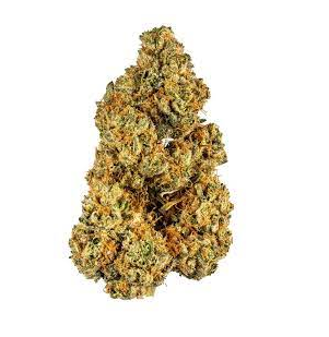 The blood cannabis strain premium flower