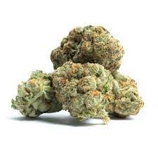 Thin mint girl scout cookies cannabis strain premium flower